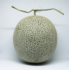 Melon
