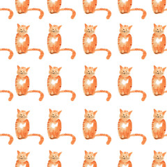 Fototapeta premium cat pattern