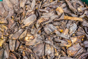 A lot of banana peel on concrete floor - rotten food background.- Close up of black banana peel 
many banana peels in the composter for humus for organic agriculture