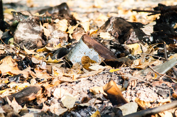 burned trash in the woods