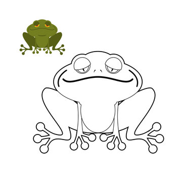 Frog coloring book. Funny amphibious reptile. Animal from swamp.