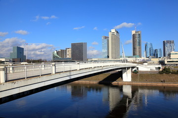 Fototapeta na wymiar Pedestrian bridge over the river Neris