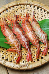 morotoge shrimp, shima ebi, japanese seafood