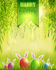 Easter background with eggs in grass and weeping willow.