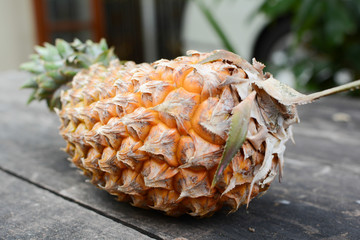 Pine apple.