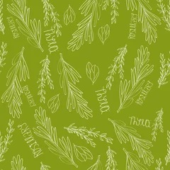 Fototapete Grün grünes nahtloses muster mit kräutern und gewürzen