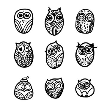 Owls hand drawn set