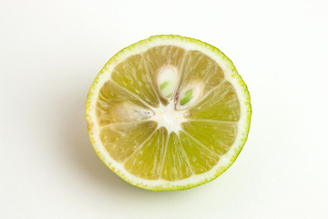 紅葉したカエデの木