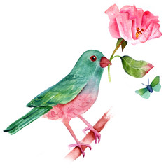Vintage style drawing of watercolor bird with rose and butterfly