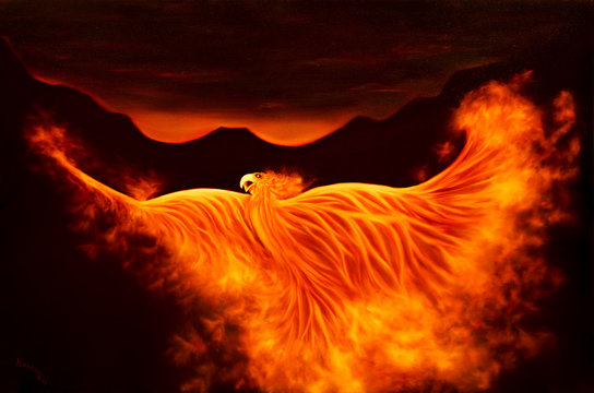 611 Best Phoenix Ashes Images Stock Photos Vectors Adobe Stock 611 Best Phoenix Ashes Images Stock Photos Vectors Adobe Stock
