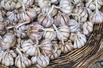 fresh garlics in a market