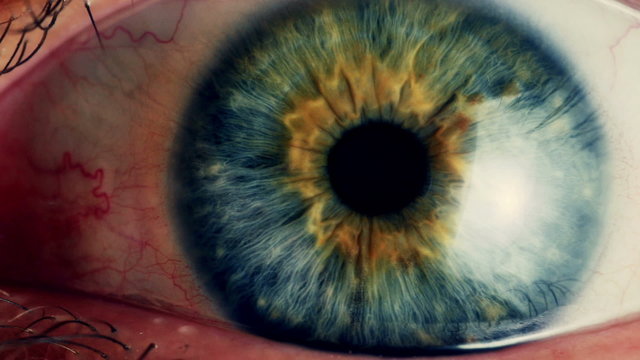 Extreme close up and pan across of eyes looking in all directions.
