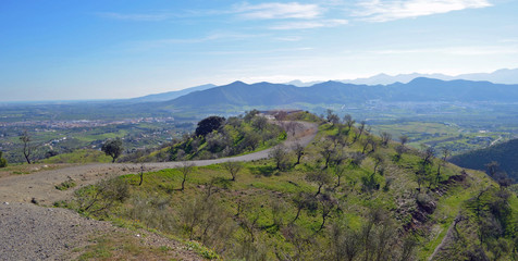 Fototapeta na wymiar Almond Trees on Hill Andalucia Spain