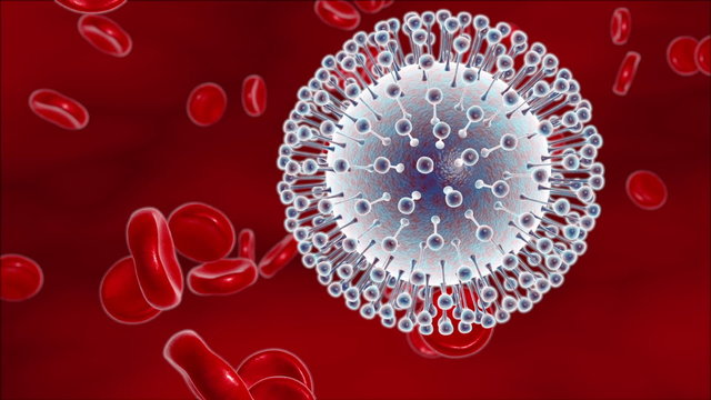 Zika virus in blood with red blood cells, a virus which causes Zika fever found in Brazil and other tropical countries. Zika fever in pregnant women leads to microcephaly in fetus
