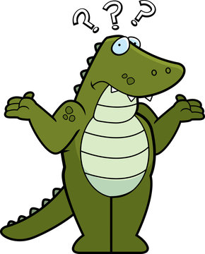 Alligator Confused