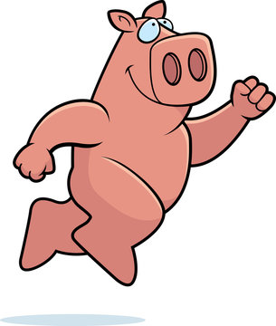 Pig Jumping