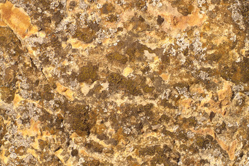 Stone texture