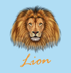 African Lion Portrait