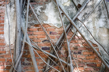 Wat Sang Kratai is 400 years old temple. It is deserted temple in Thailand
