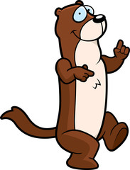 Weasel Dancing