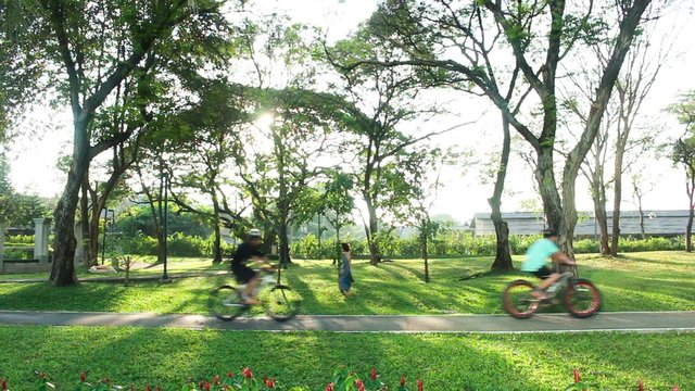 Bangkok, Thailand - February 12, 2016 : Cycling and walking in Benchakitti Park Bangkok city Thailand