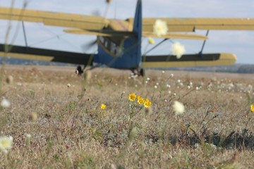 old aircraft ready to fly with grass in the foreground