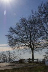 aeral view landscape