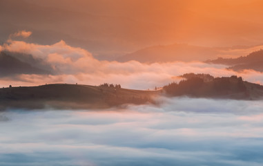 Naklejka na ściany i meble Carpathian Mountains. Mountains covered in mist at sunrise