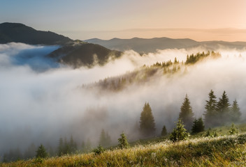 Fototapeta premium Carpathian Mountains. The slopes of the mountains in a fog.
