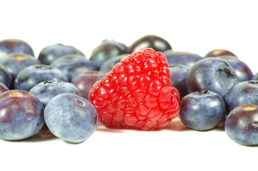 Heidelbeeren und Himbeere