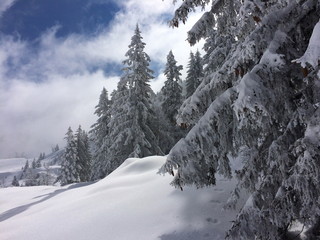 Neige Is&egrave;re France