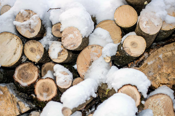 Wall of stacked logs and branches. Firewood in the snow
