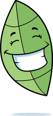 Leaf Smiling