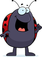 Ladybug Idea