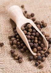 Dried Allspice (selective focus)