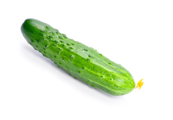 fresh cucumbers isolated on white
