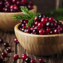 Fresh red cranberry on the vintage table