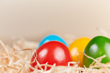 Macro shot of easter nest with copyspace background