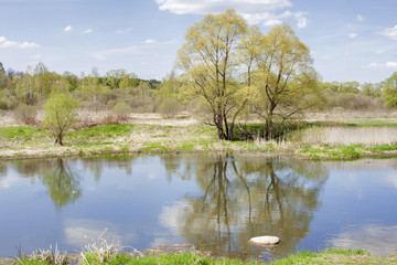 Spring natural landscape