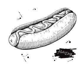 Vector vintage hot dog drawing. Hand drawn monochrome fast food