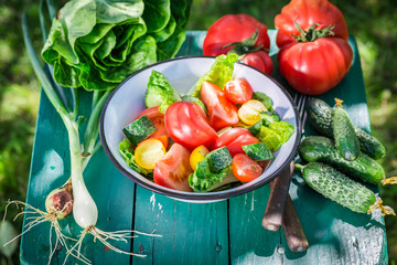 Fresh vegetarian salad from countryside