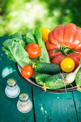 Healthy vegetables from countryside