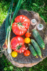 Healthy mix vegetables from countryside
