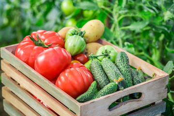 Healthy vegetables in wooden box