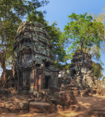 Obraz premium SIEM REAP, CAMBODIA. Ta Prohm, ancient temples in the jungle