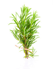 tied fresh rosemary on a white background