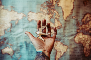Hand Holding a Toy Bird Over a World Map © ADDICTIVE STOCK