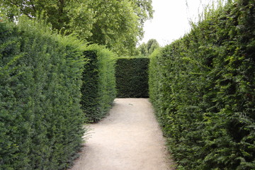 Irrgarten