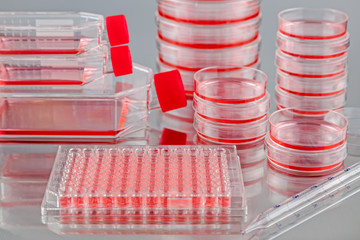 Various tissue culture flasks, plates and dishes
