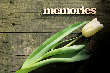 Napis memories na starej desce i tulipan